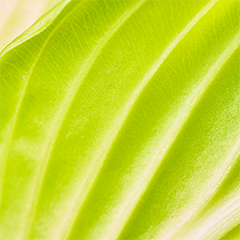 2026 春～初夏編